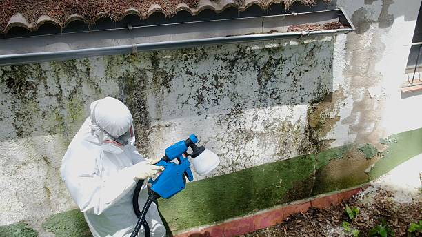 Mold Removal service in Harrington Park
